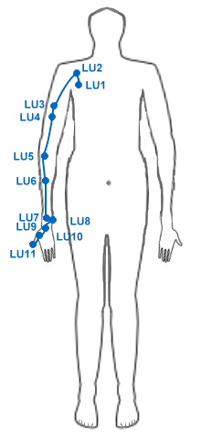 Akupunktur Meridiane LU